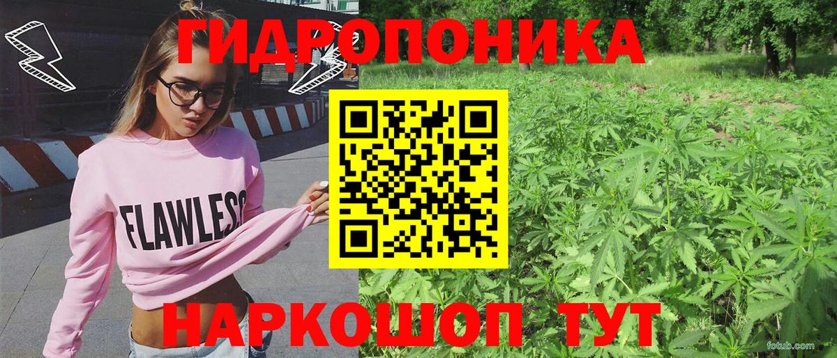 Волоколамск  Бошки Шишки ГИДРОПОН  Конопля VHQ  Вход с VPN  МАРИХУАНА SATIVA & INDICA  Каннабис индика 
